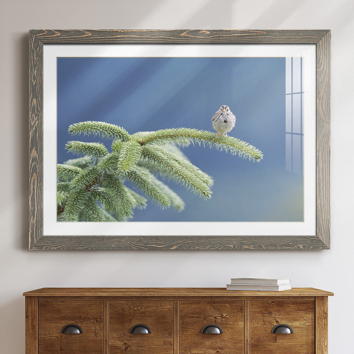 Evergreen Perch-Premium Framed Print - Ready to Hang