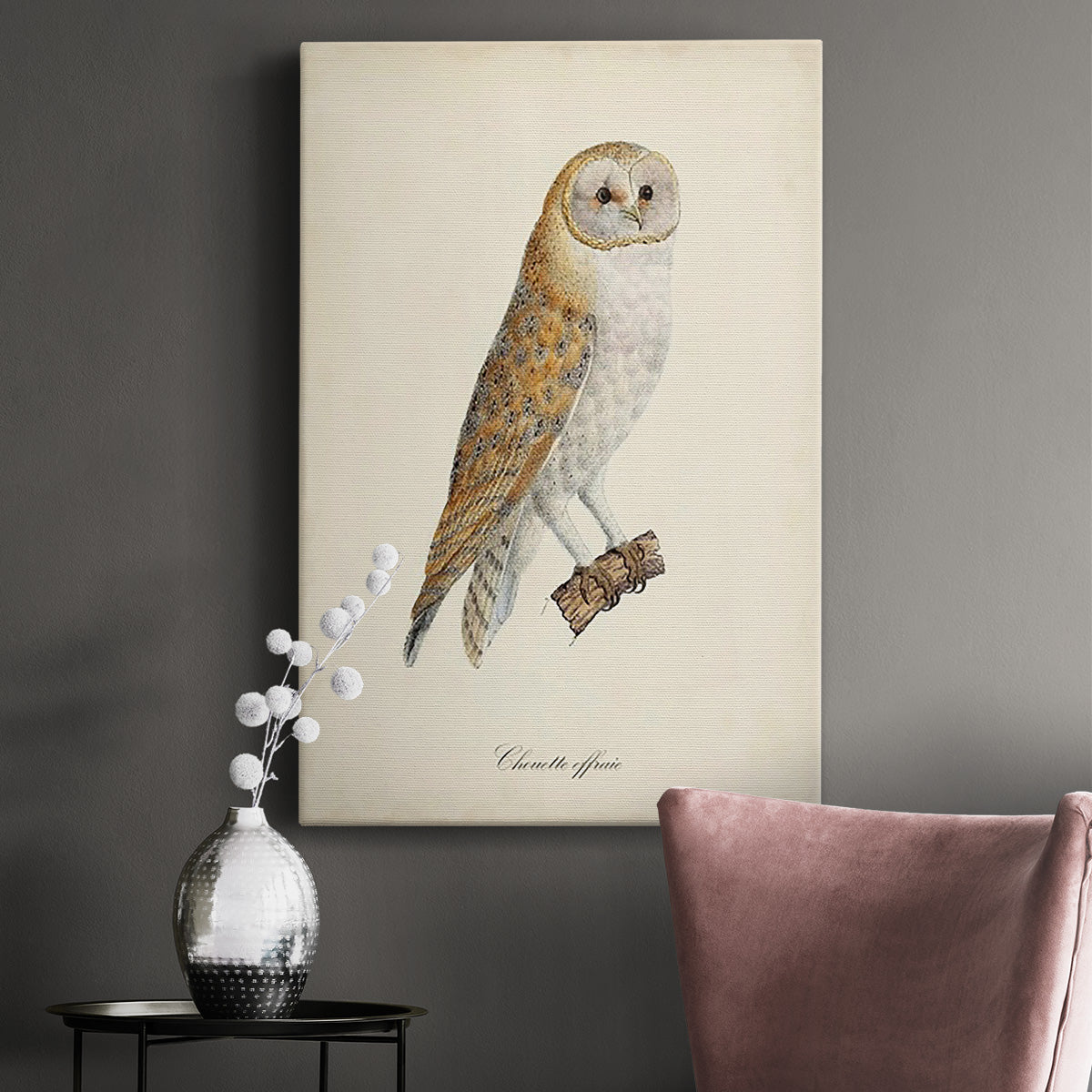 French Owls VI Premium Gallery Wrapped Canvas - Ready to Hang