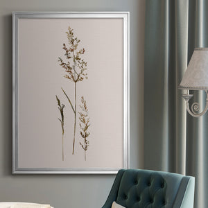 Delicate Stems II Premium Framed Print - Ready to Hang