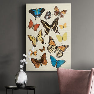 Collected Flutter II - Canvas Art Print