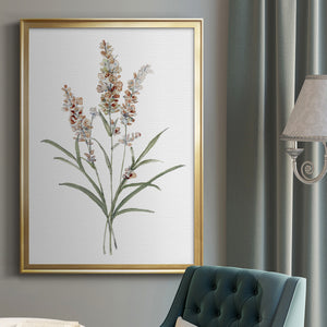 Dainty Botanical I Premium Framed Print - Ready to Hang