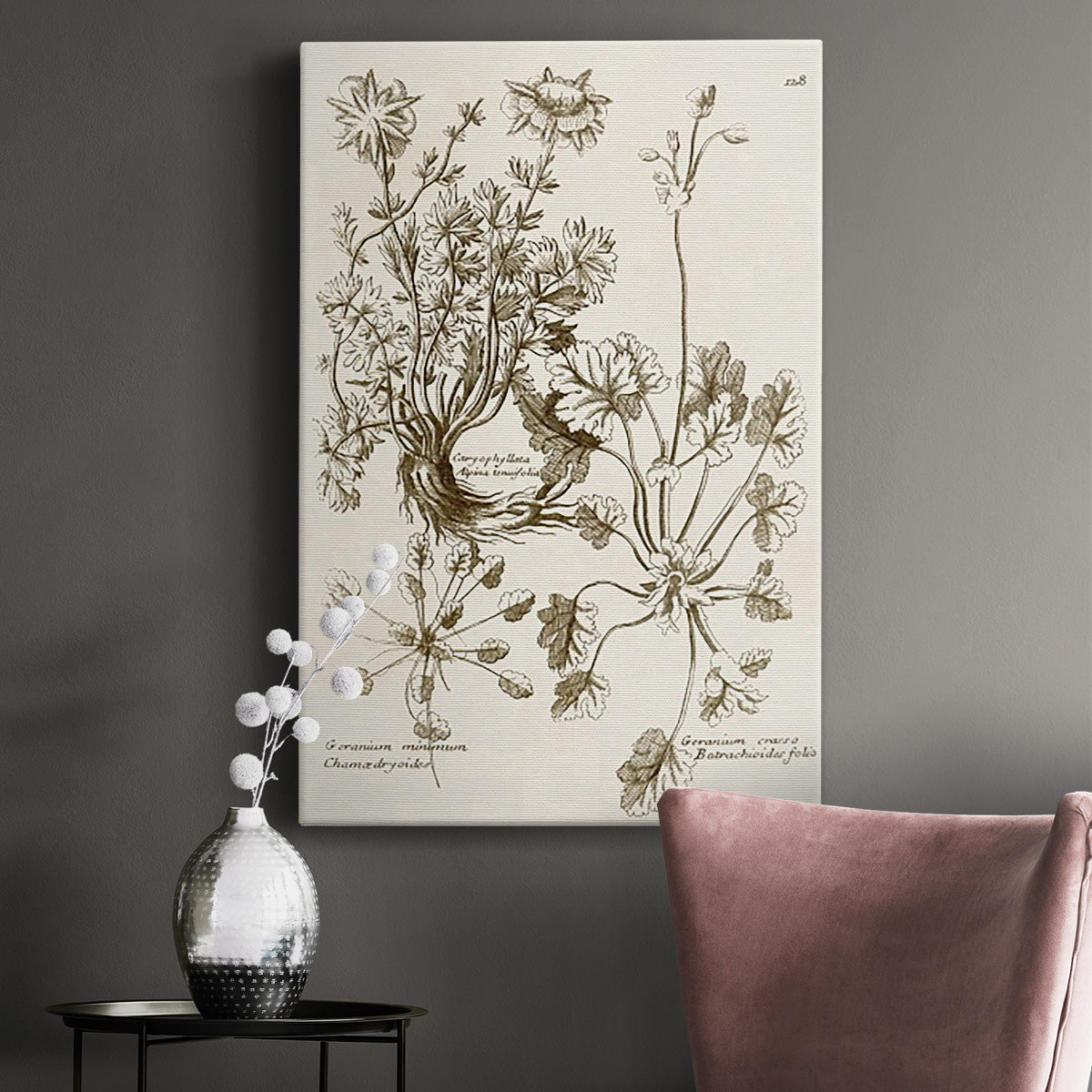 Sepia Botanical Journal IX Premium Gallery Wrapped Canvas - Ready to Hang