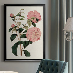 Pink Floral Mix IV Premium Framed Print - Ready to Hang