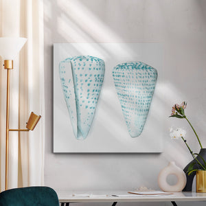 Watercolor Shells VIII-Premium Gallery Wrapped Canvas - Ready to Hang