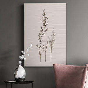 Delicate Stems I Premium Gallery Wrapped Canvas - Ready to Hang