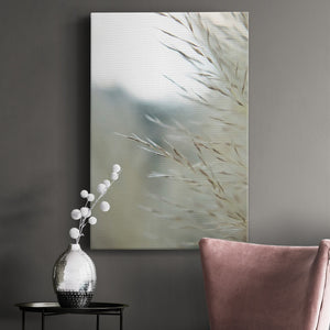 Subtle Grasses III Premium Gallery Wrapped Canvas - Ready to Hang