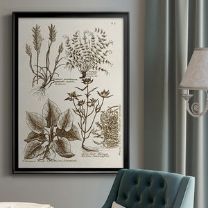 Sepia Botanical Journal VII Premium Framed Print - Ready to Hang