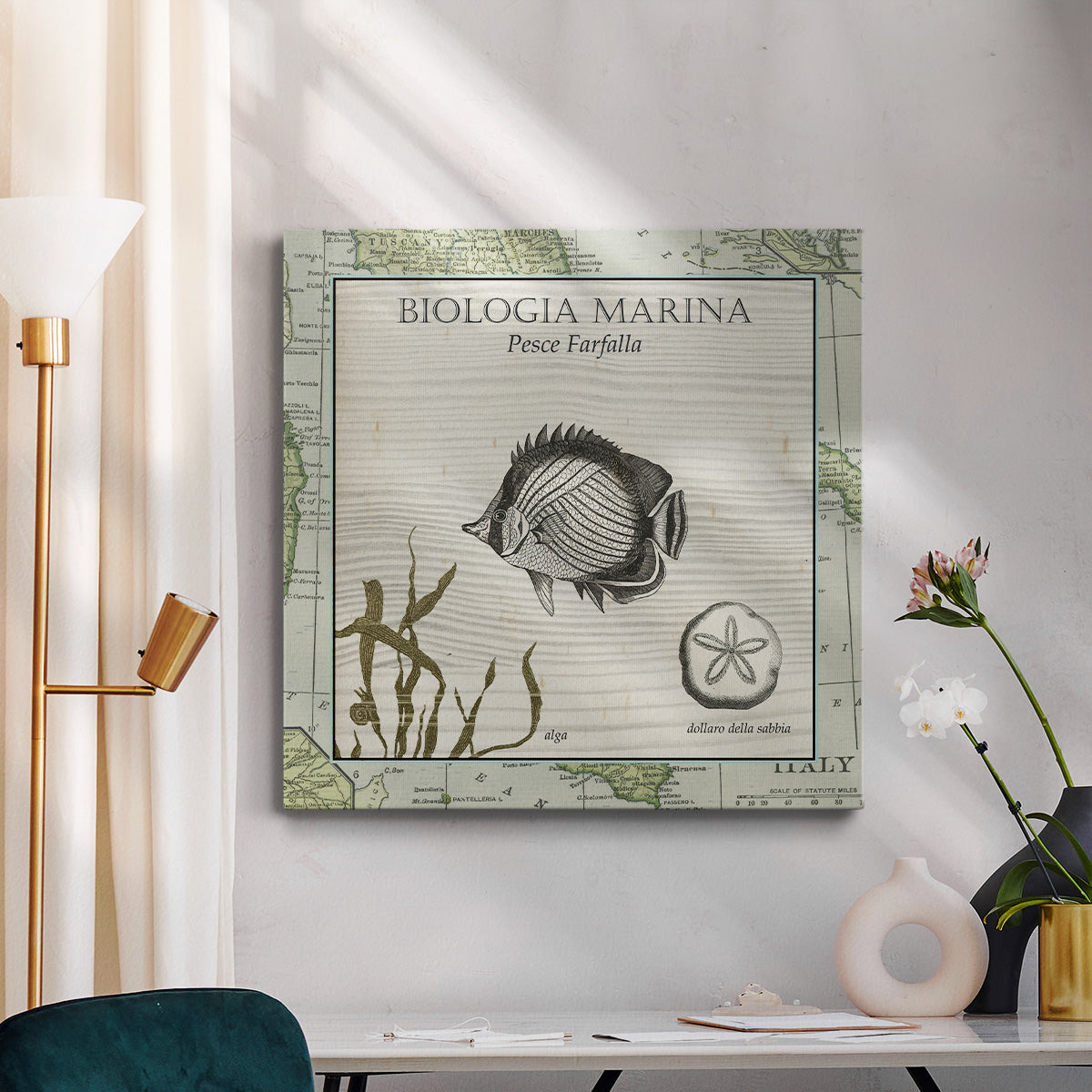 Biologia Marina I-Premium Gallery Wrapped Canvas - Ready to Hang