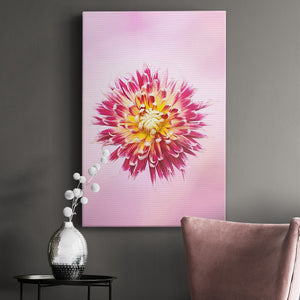 Exotic Flower Burst I Premium Gallery Wrapped Canvas - Ready to Hang
