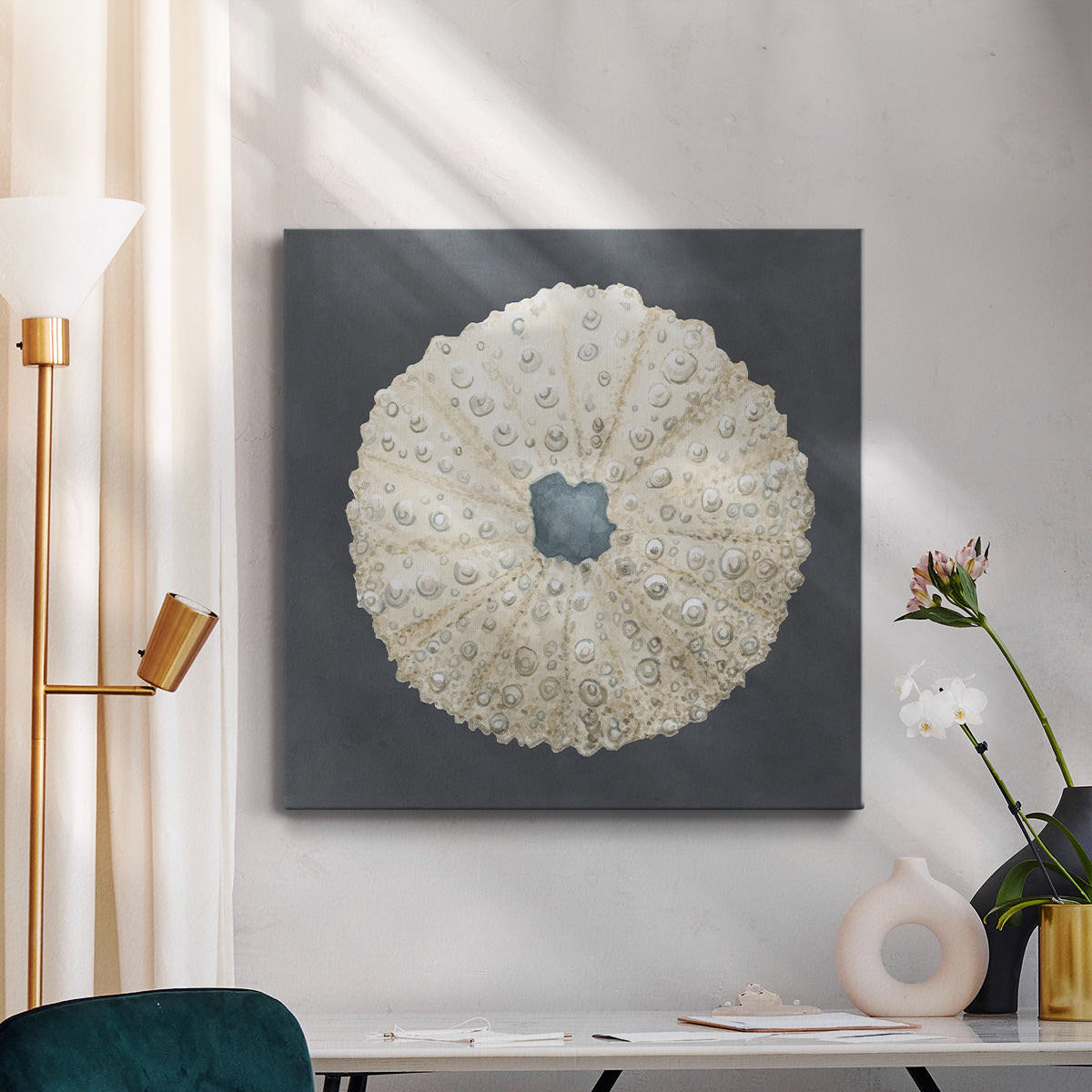 Shell on Slate VII-Premium Gallery Wrapped Canvas - Ready to Hang