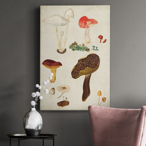 Mushroom Species XI Premium Gallery Wrapped Canvas - Ready to Hang