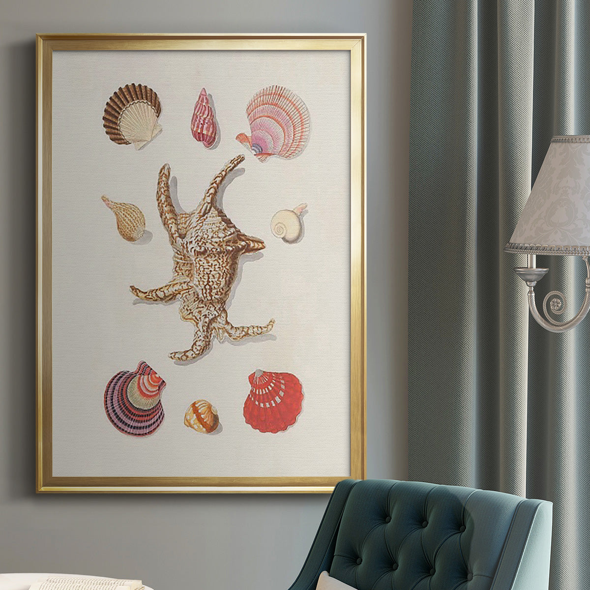 Knorr Shells & Coral II Premium Framed Print - Ready to Hang