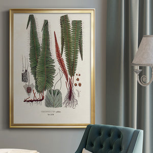 Botanical Society Ferns IV Premium Framed Print - Ready to Hang