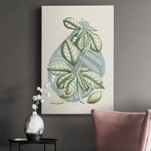 Buchoz Tropicals VI Premium Gallery Wrapped Canvas - Ready to Hang