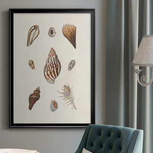 Knorr Shells & Coral IX Premium Framed Print - Ready to Hang