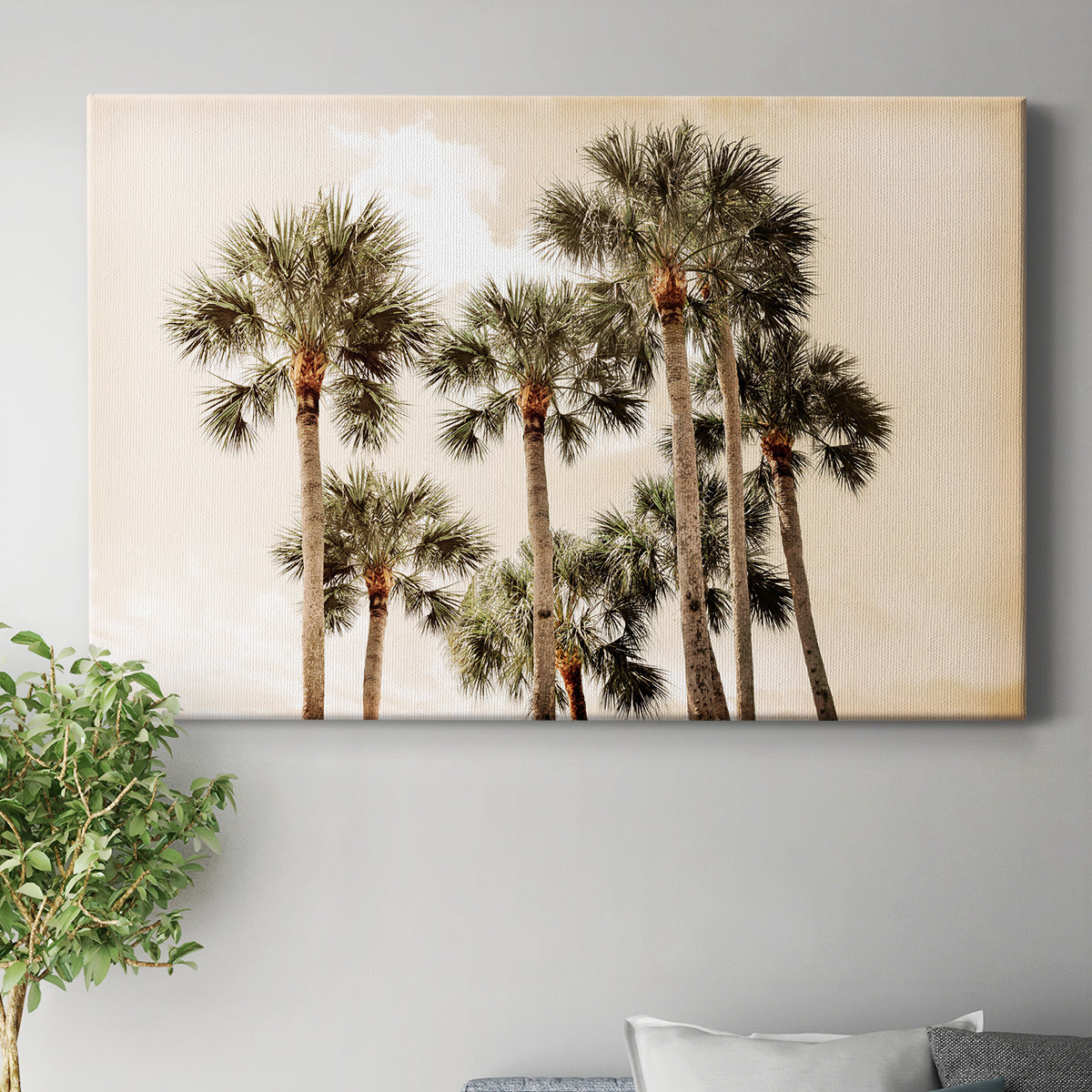 Blushing Palms Premium Gallery Wrapped Canvas - Ready to Hang