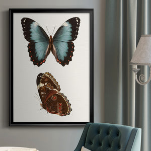 Antique Blue Butterflies IV Premium Framed Print - Ready to Hang