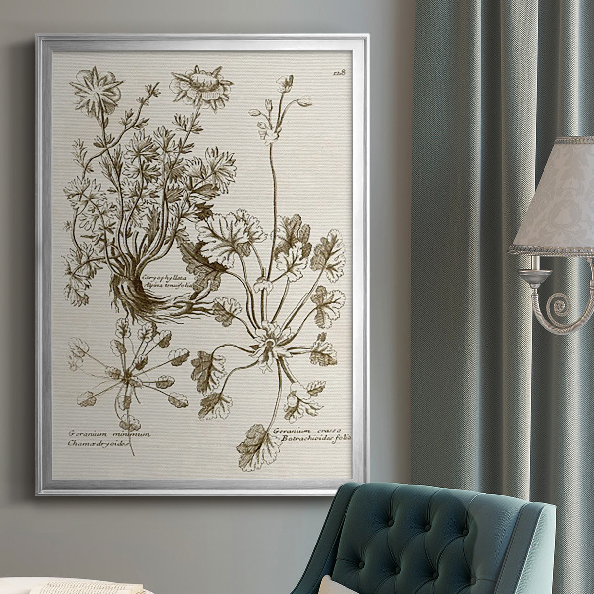 Sepia Botanical Journal IX Premium Framed Print - Ready to Hang
