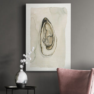 Soft Half Shell I Premium Gallery Wrapped Canvas - Ready to Hang