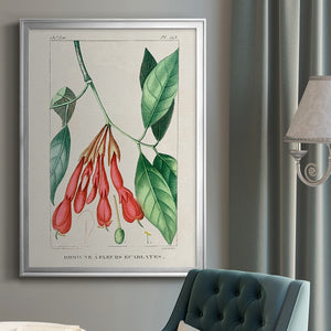 Turpin Tropical Botanicals I Premium Framed Print - Ready to Hang