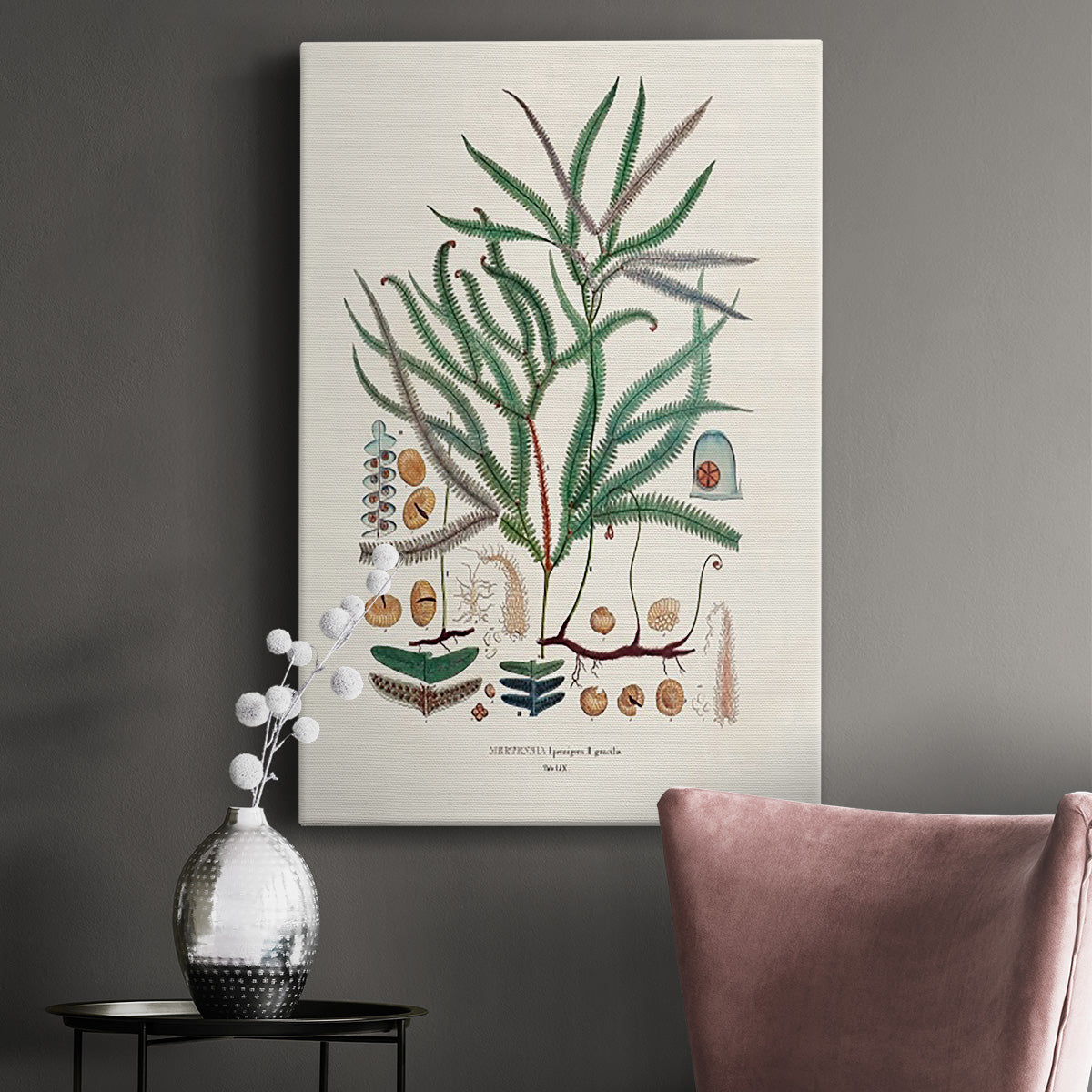 Botanical Society Ferns VII Premium Gallery Wrapped Canvas - Ready to Hang