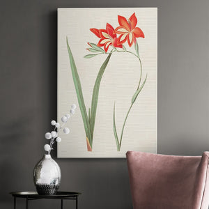 Flowers of the Seasons IV Premium Gallery Wrapped Canvas - Ready to Hang