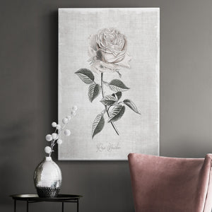 Vintage Botanical I Premium Gallery Wrapped Canvas - Ready to Hang