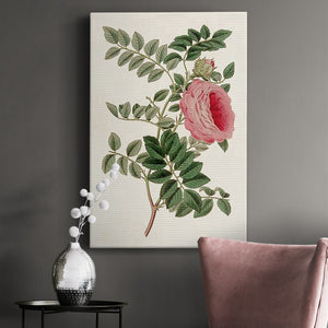 Pink Floral Mix I Premium Gallery Wrapped Canvas - Ready to Hang