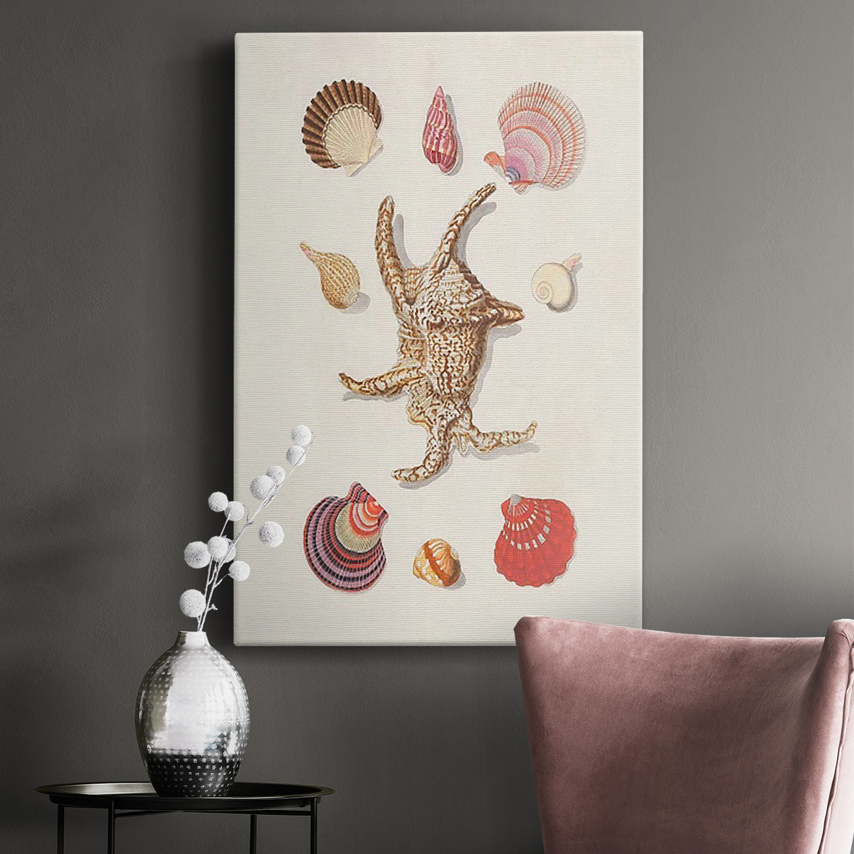 Knorr Shells & Coral II Premium Gallery Wrapped Canvas - Ready to Hang