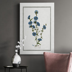 Soft Botanical I Premium Gallery Wrapped Canvas - Ready to Hang