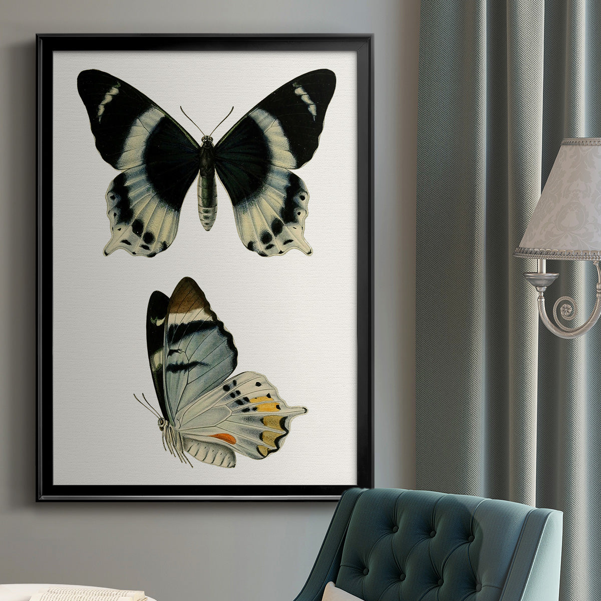 Antique Blue Butterflies I Premium Framed Print - Ready to Hang