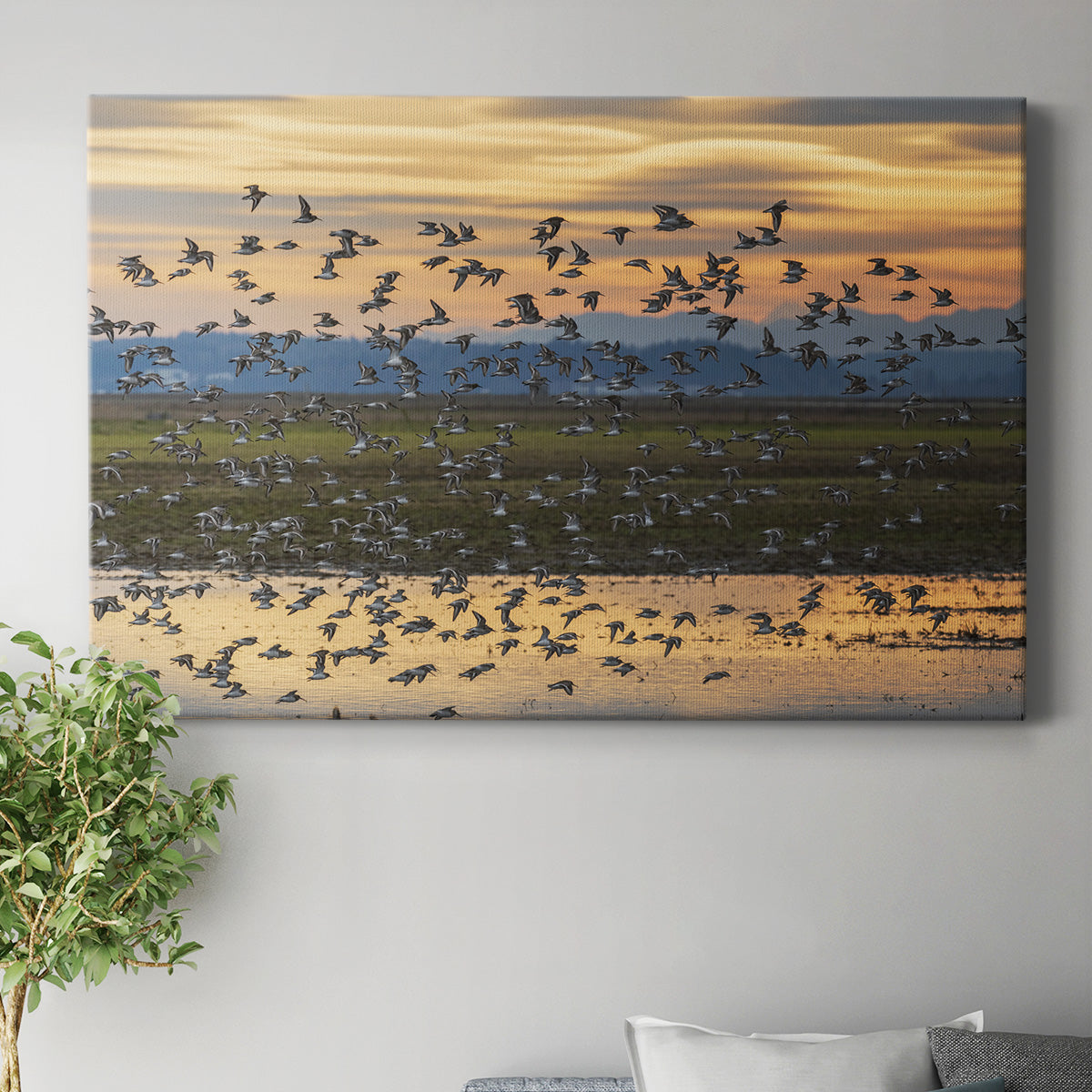 Sunset Flight Premium Gallery Wrapped Canvas - Ready to Hang