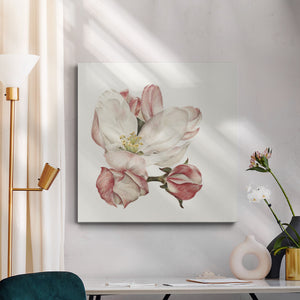 Enlightenment Blossom III-Premium Gallery Wrapped Canvas - Ready to Hang