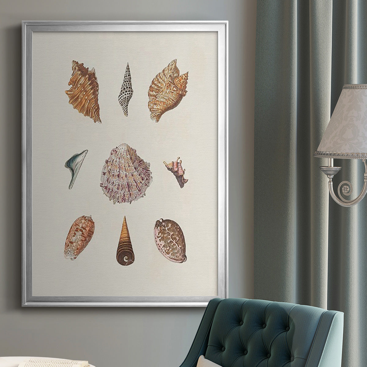 Knorr Shells & Coral VI Premium Framed Print - Ready to Hang