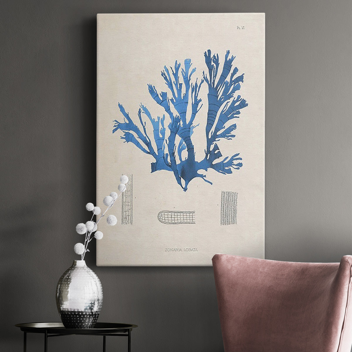 Blue Marine Algae IX Premium Gallery Wrapped Canvas - Ready to Hang