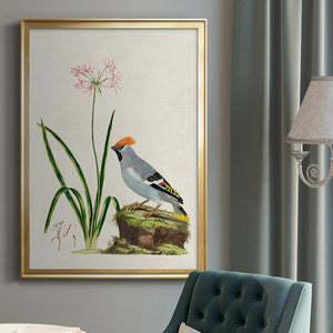 Bird in Habitat II Premium Framed Print - Ready to Hang