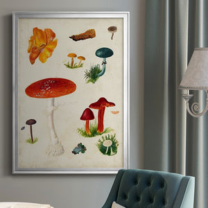 Mushroom Species VIII Premium Framed Print - Ready to Hang