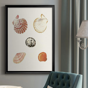 Pastel Knorr Shells VIII Premium Framed Print - Ready to Hang