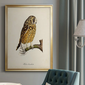 French Owls II Premium Framed Print - Ready to Hang