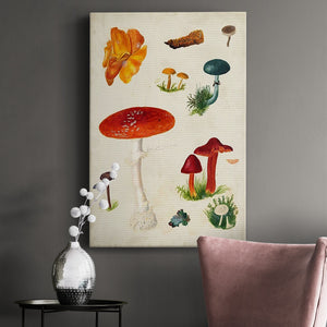 Mushroom Species VIII Premium Gallery Wrapped Canvas - Ready to Hang