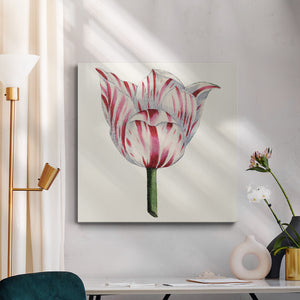 Tulip Garden I-Premium Gallery Wrapped Canvas - Ready to Hang