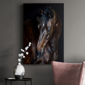 Sunlit Horses I Premium Gallery Wrapped Canvas - Ready to Hang
