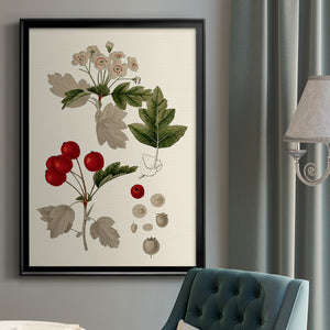Leaves & Berries III Premium Framed Print - Ready to Hang