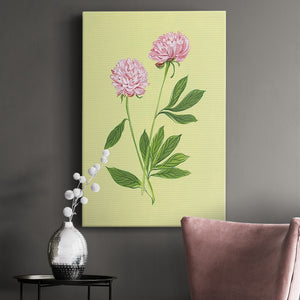 Peonies in Yellow II Premium Gallery Wrapped Canvas - Ready to Hang