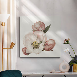 Enlightenment Blossom IV-Premium Gallery Wrapped Canvas - Ready to Hang