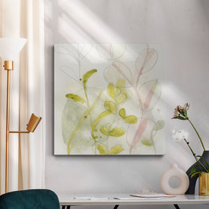 Celadon Trace II-Premium Gallery Wrapped Canvas - Ready to Hang