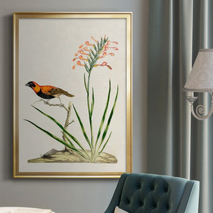 Bird in Habitat III Premium Framed Print - Ready to Hang