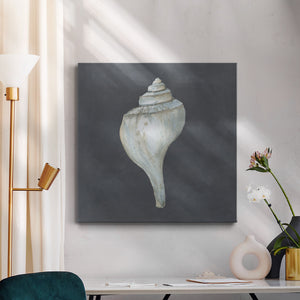 Shell on Slate IV-Premium Gallery Wrapped Canvas - Ready to Hang
