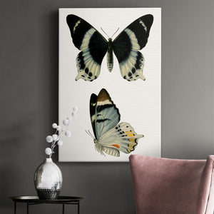 Antique Blue Butterflies I Premium Gallery Wrapped Canvas - Ready to Hang