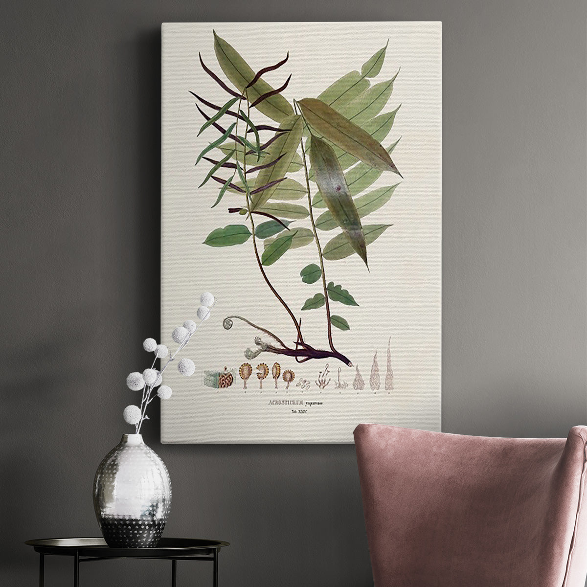 Botanical Society Ferns VI Premium Gallery Wrapped Canvas - Ready to Hang